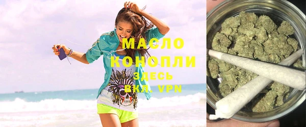 крисы Бородино