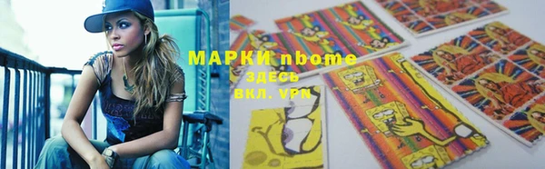 крисы Бородино