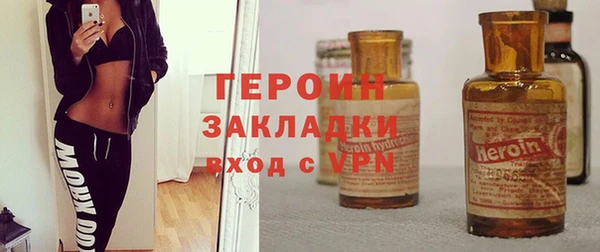 крисы Бородино