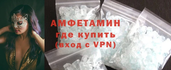крисы Бородино