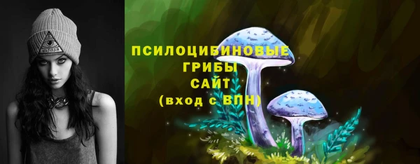 крисы Бородино