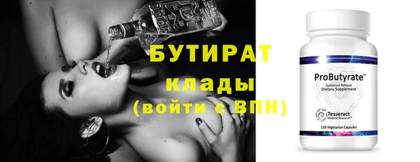 крисы Бородино