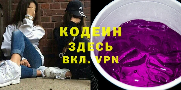 крисы Бородино