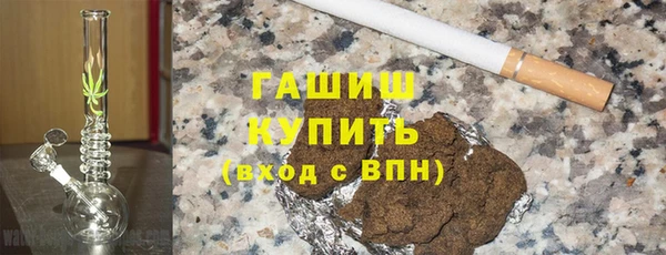 крисы Бородино