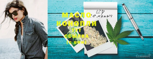 крисы Бородино