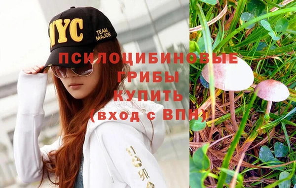 крисы Бородино