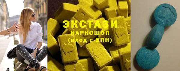 крисы Бородино